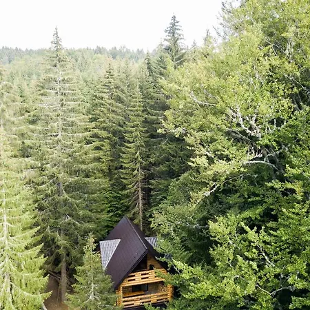 Casa Montana Kopaonik