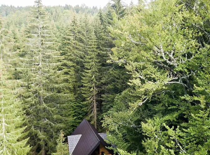 Casa Montana Kopaonik